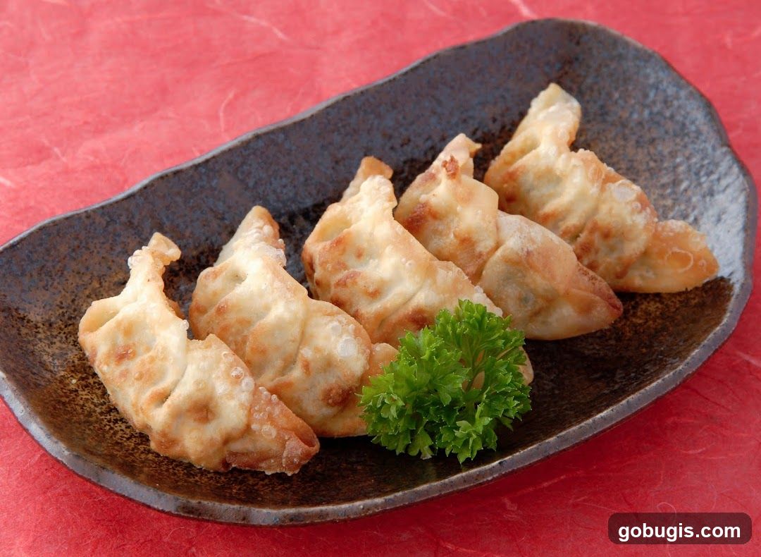 Fried Dumplings