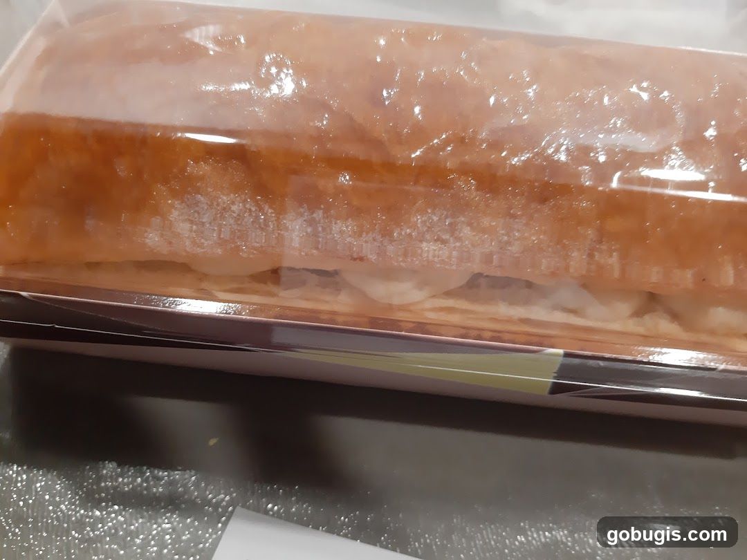 Ritz Apple Strudel - Bugis Junction