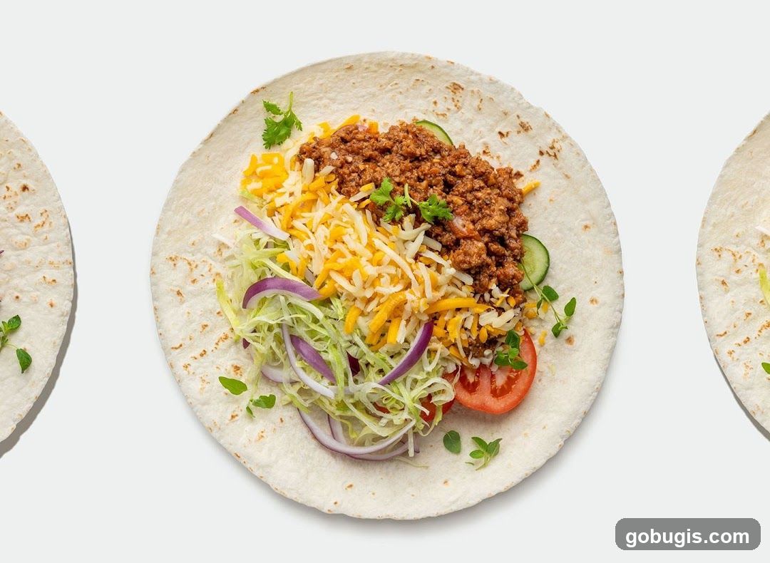Taco Ingredients on Tortilla