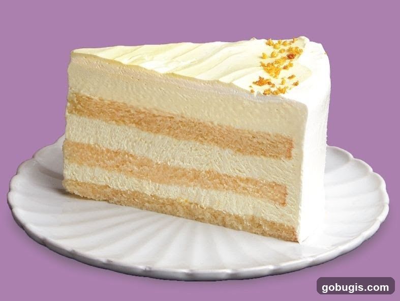 Slice of layered cake