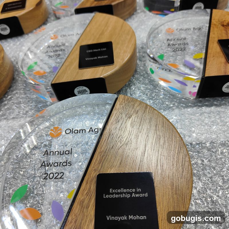 Olam Agri Annual Awards 2022 Trophies