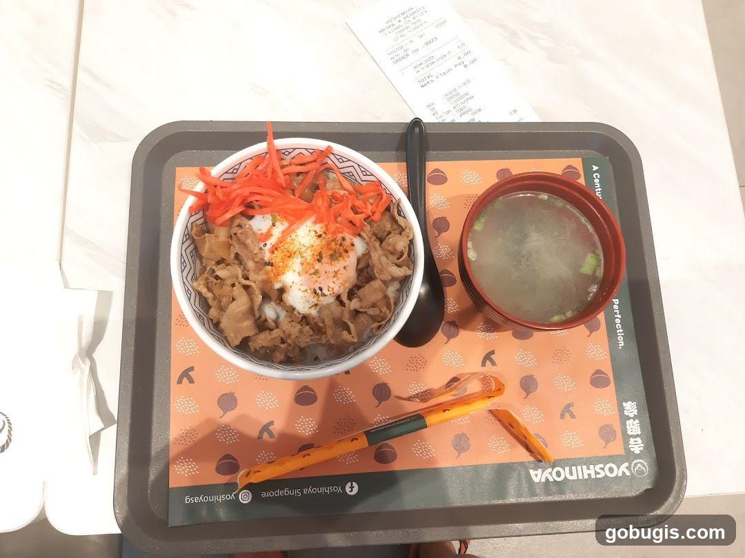 Beef Bowl and Soup