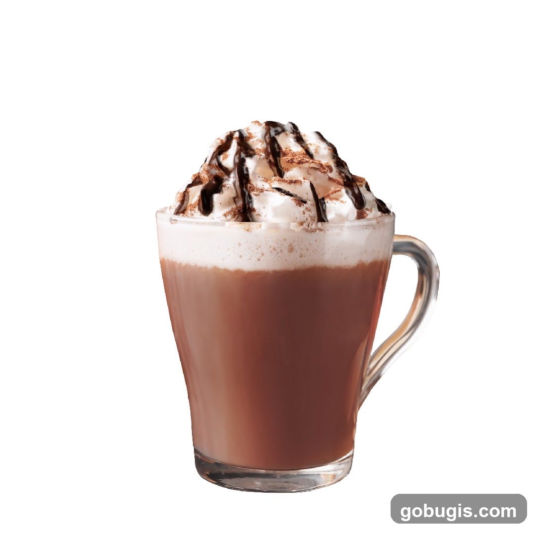 Hot Chocolate with Whipped Cream