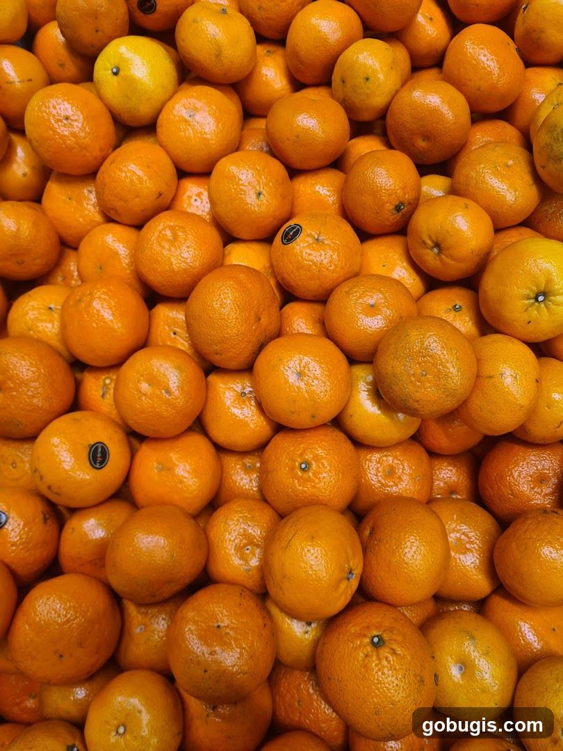 Lian Hua Chun Fruits (Bugis Street)