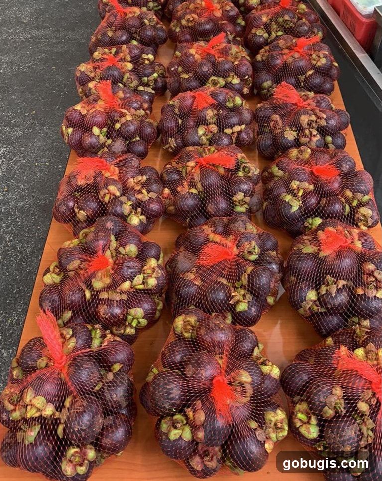 Bags of Mangosteens