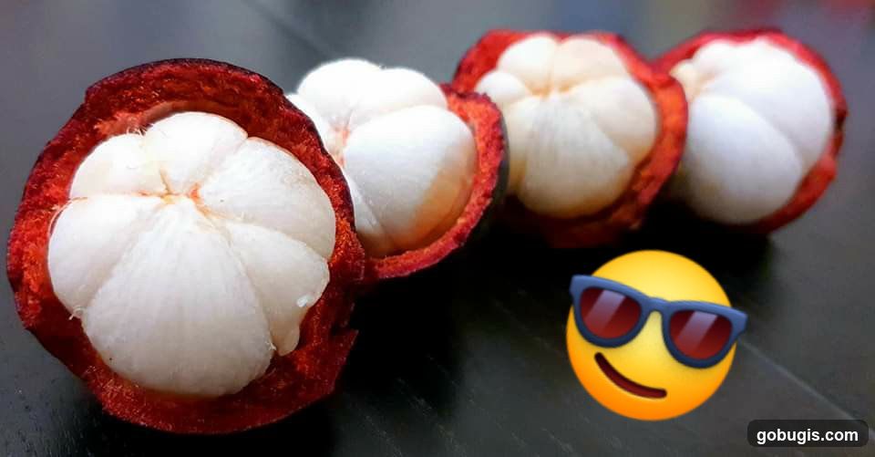 Mangosteen Fruit