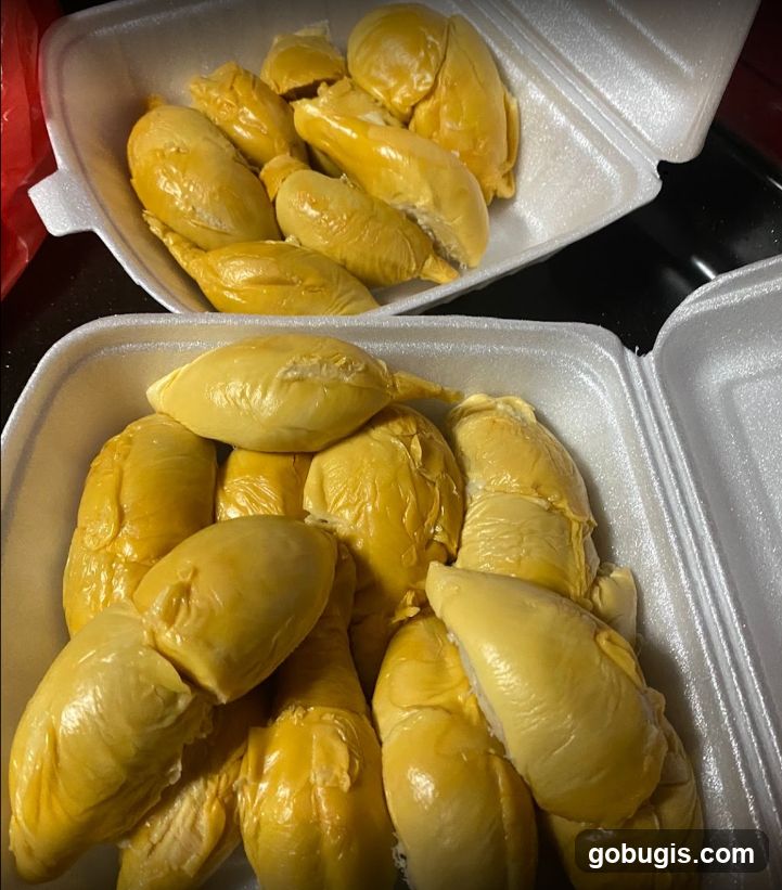 Durian Fruit