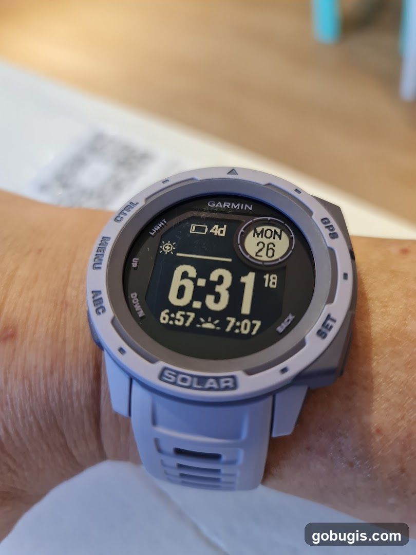 Garmin Smartwatch