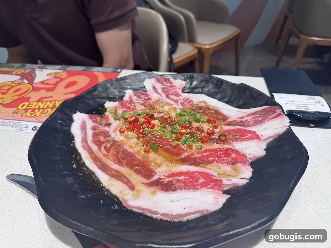 Marinated Beef Slices