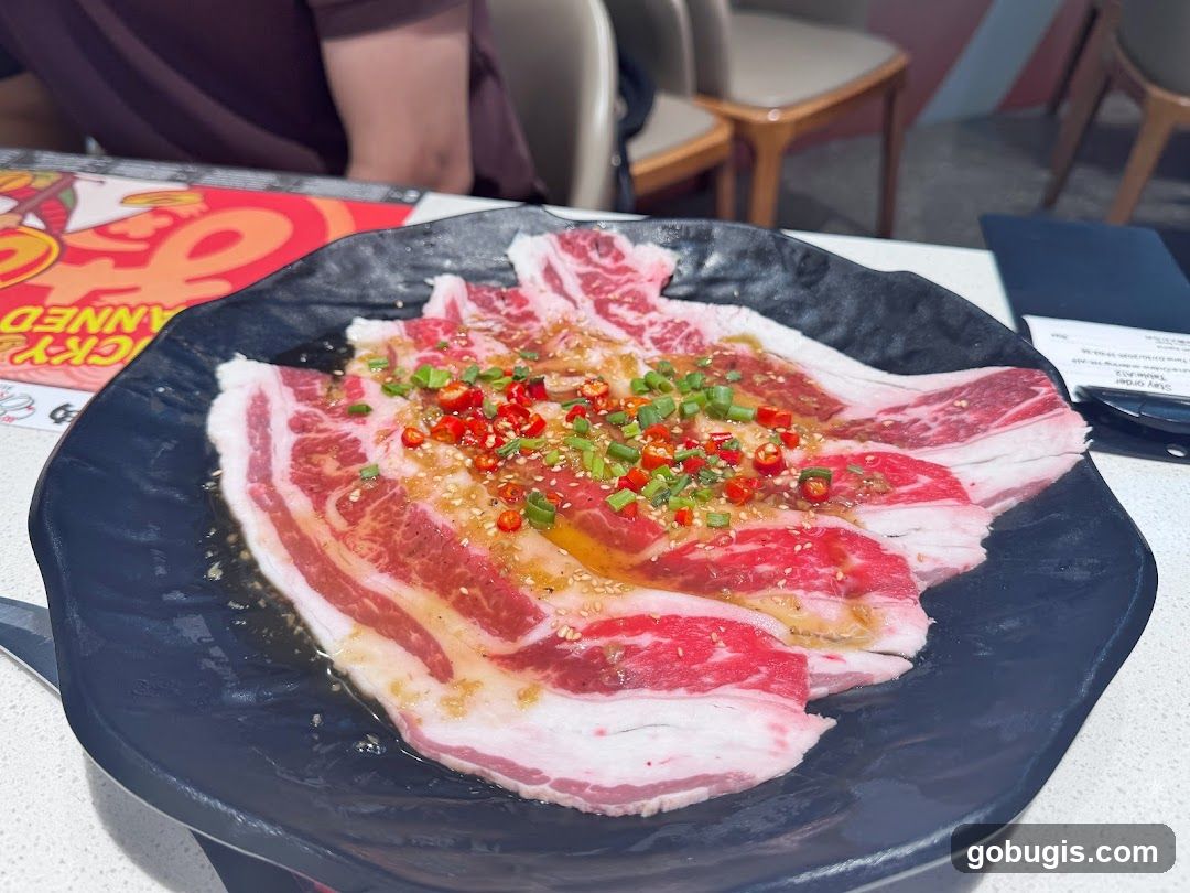 Marinated Sliced Beef