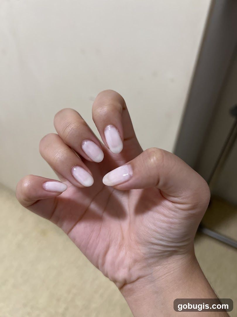 Lavender Nails