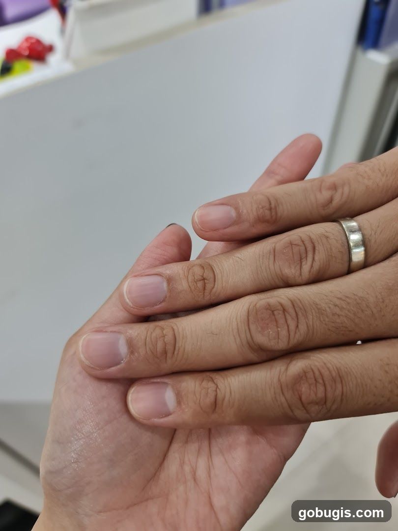 Lavender Nails