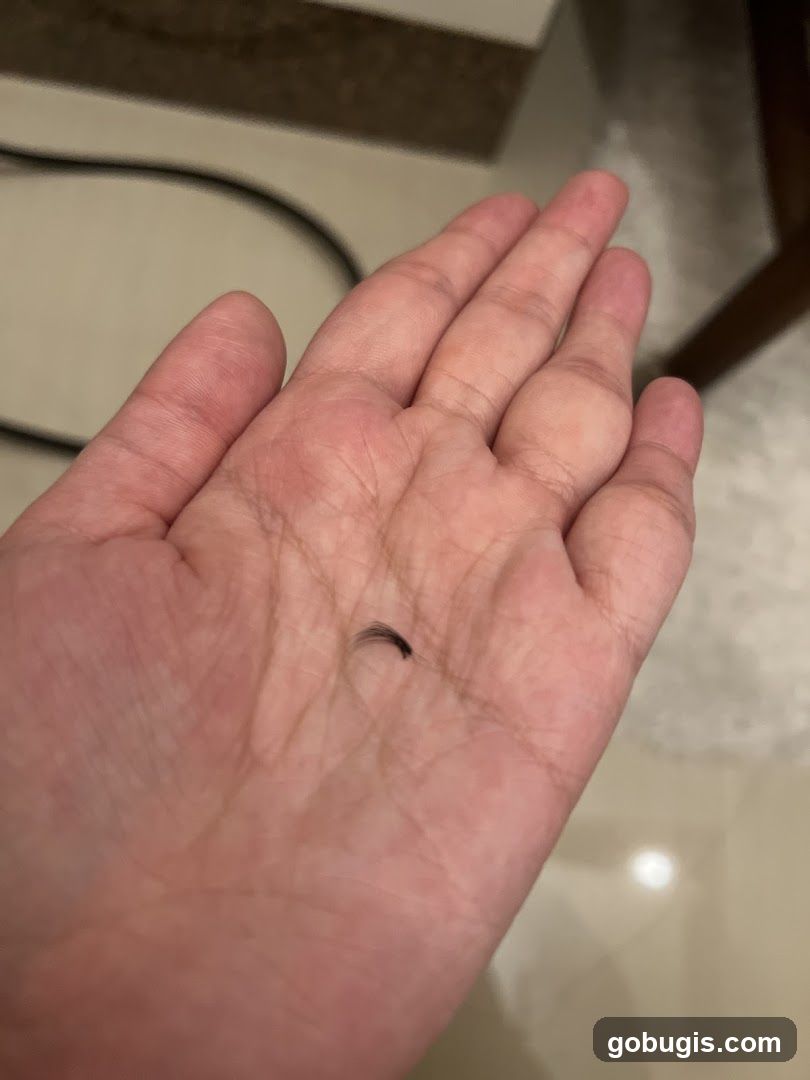Eyelash on Hand