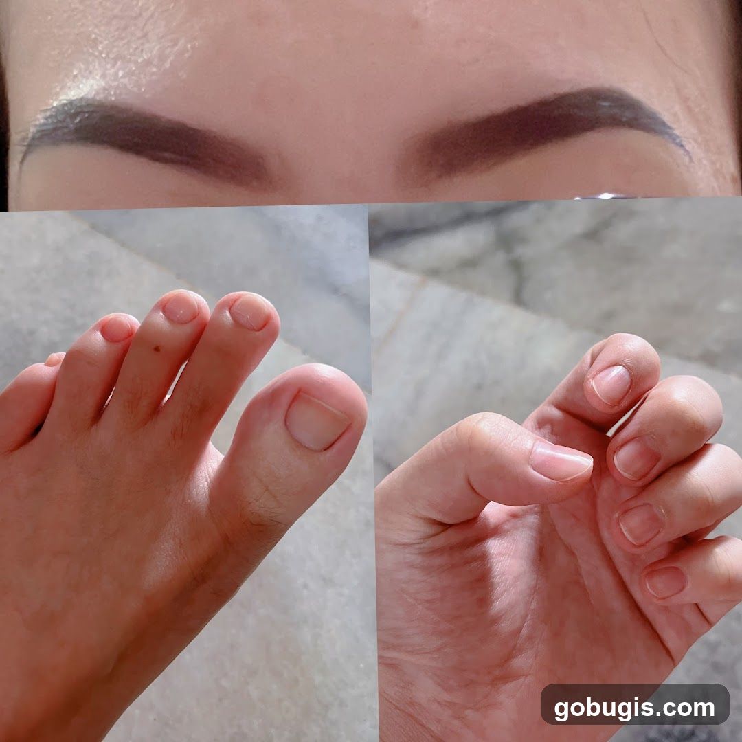 Eyebrows, Foot, and Hand