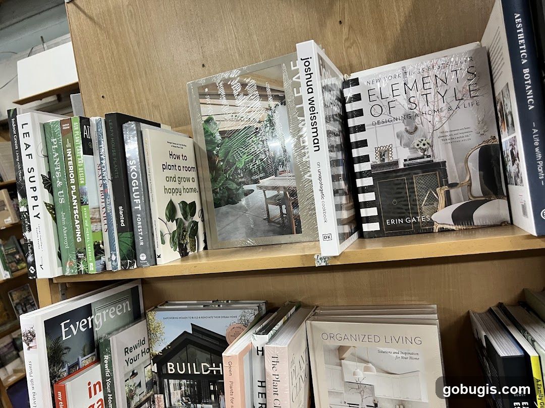Books on Shelves