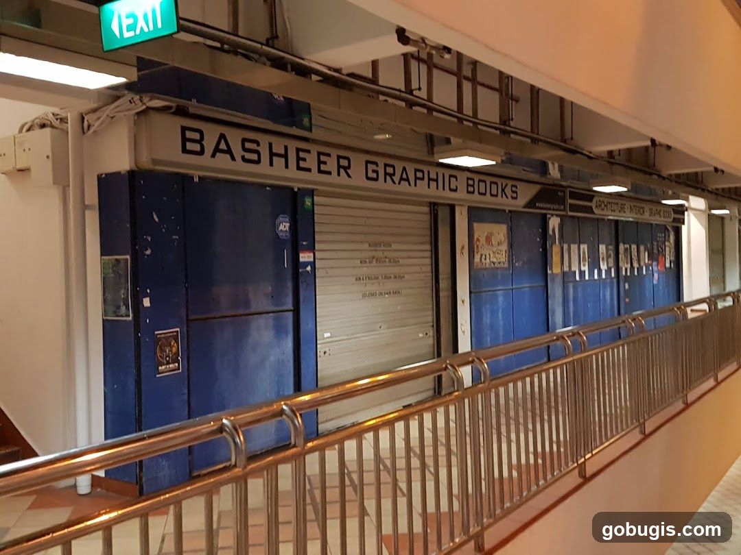 Basheer Graphic Books