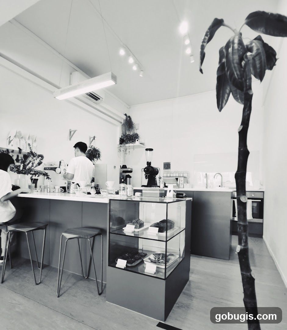Modern Cafe Interior