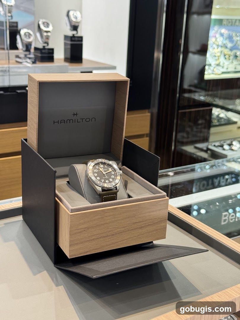 Hamilton Watch Display