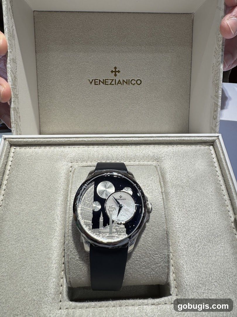 Watch in a box