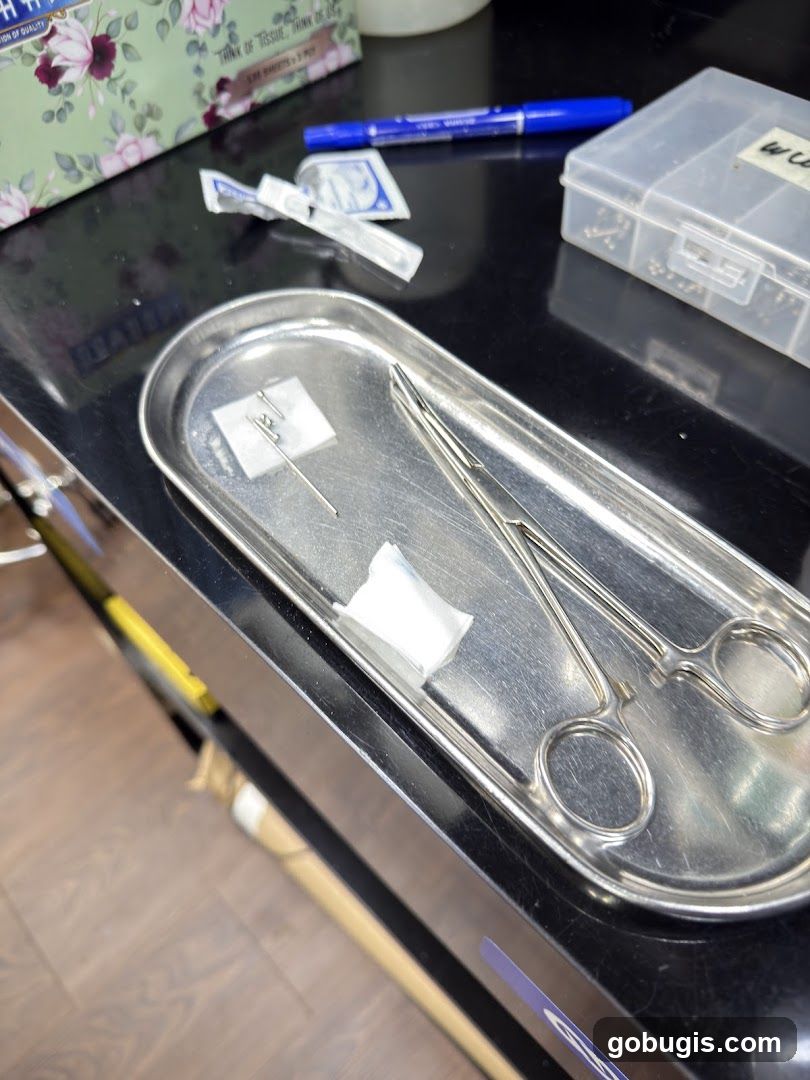 Piercing Supplies