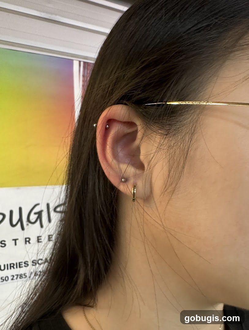 Ear Piercings