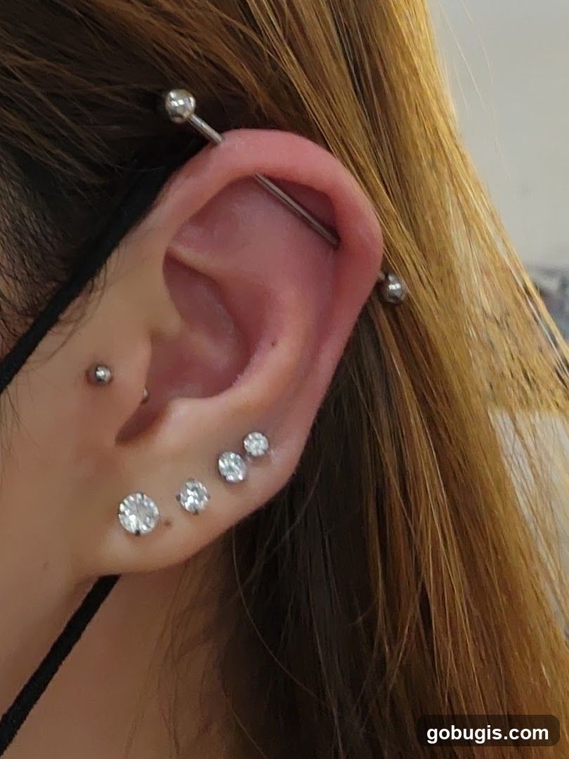 Ear Piercings