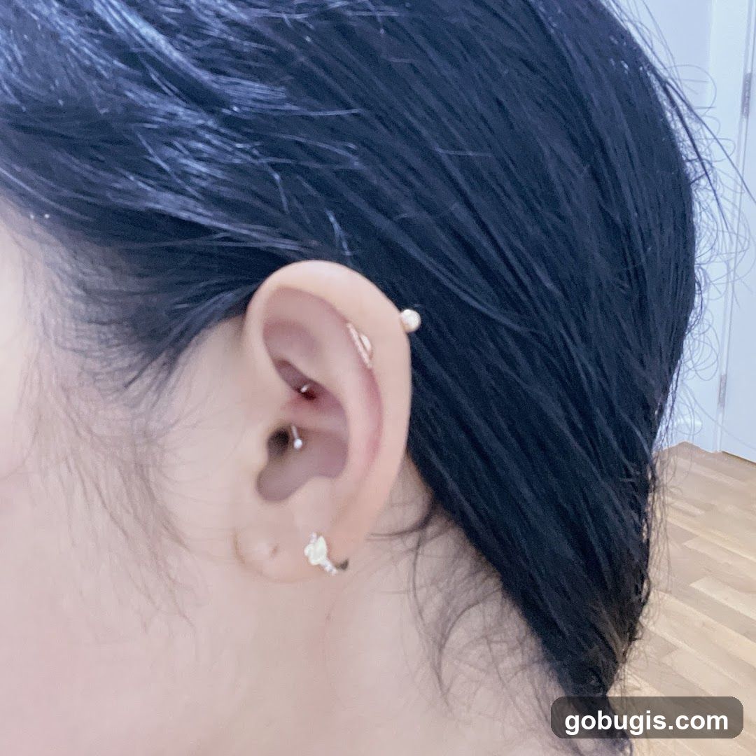 Ear Piercings