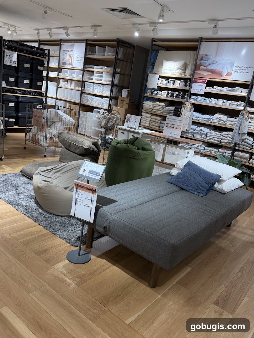 Store Interior with Furniture and Storage Solutions