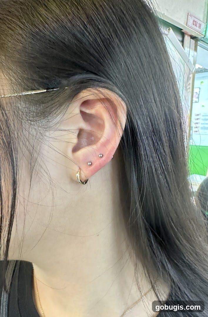 Ear Piercings