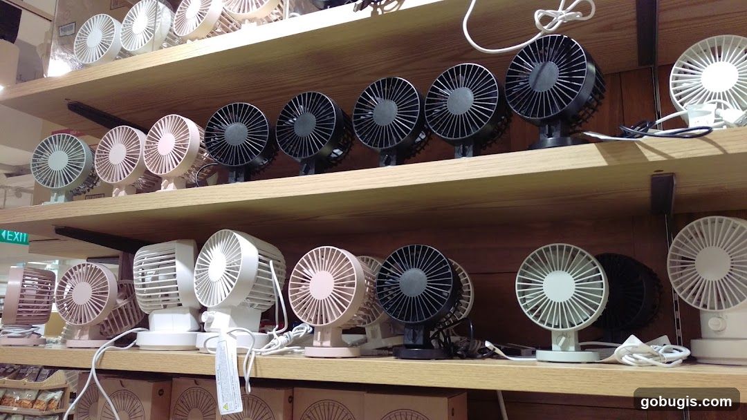 Display of Portable Fans
