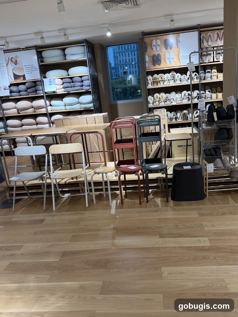 Store Interior with Furniture and Merchandise