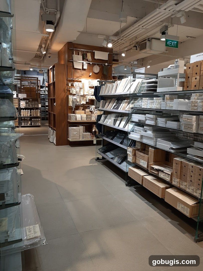 Store Interior with Shelving