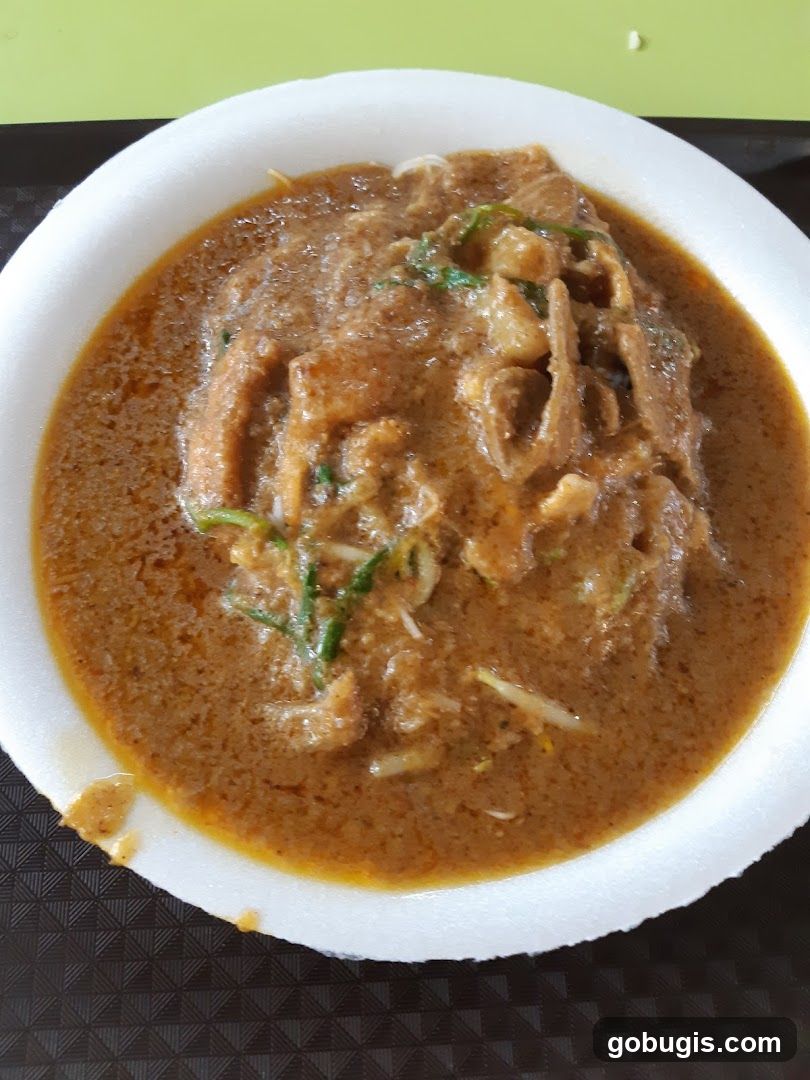 Curry Noodles