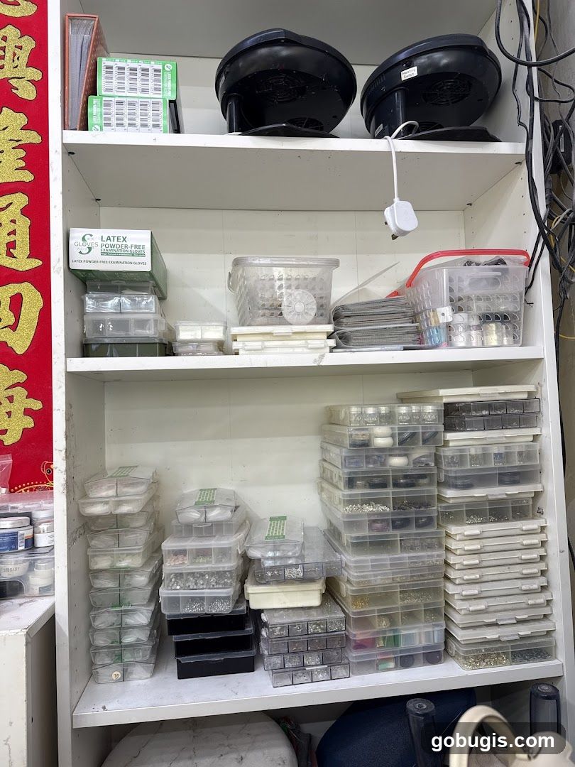 Storage Shelves with Supplies