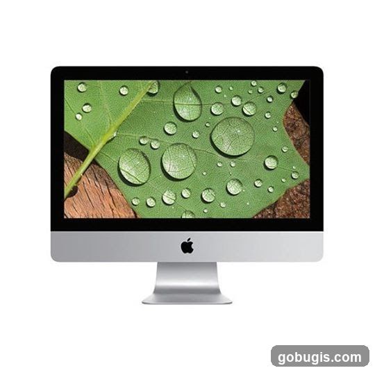 iMac Computer