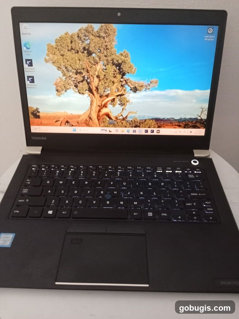 Toshiba Laptop