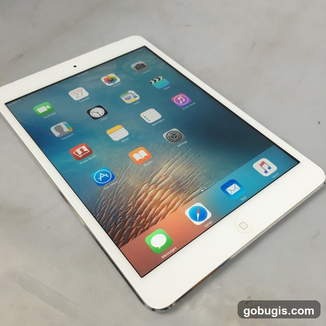 iPad Mini