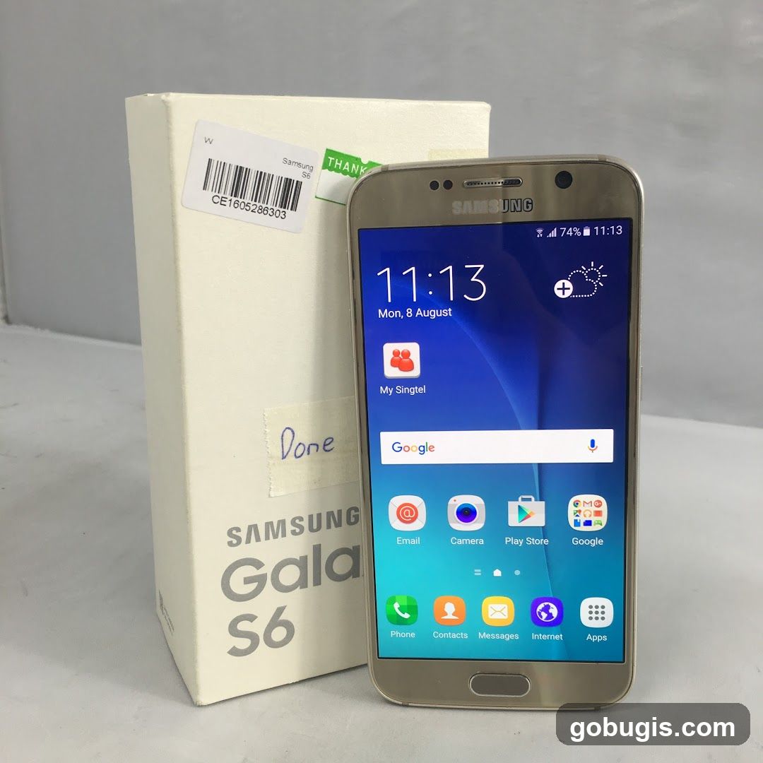 Samsung Galaxy S6 with Box
