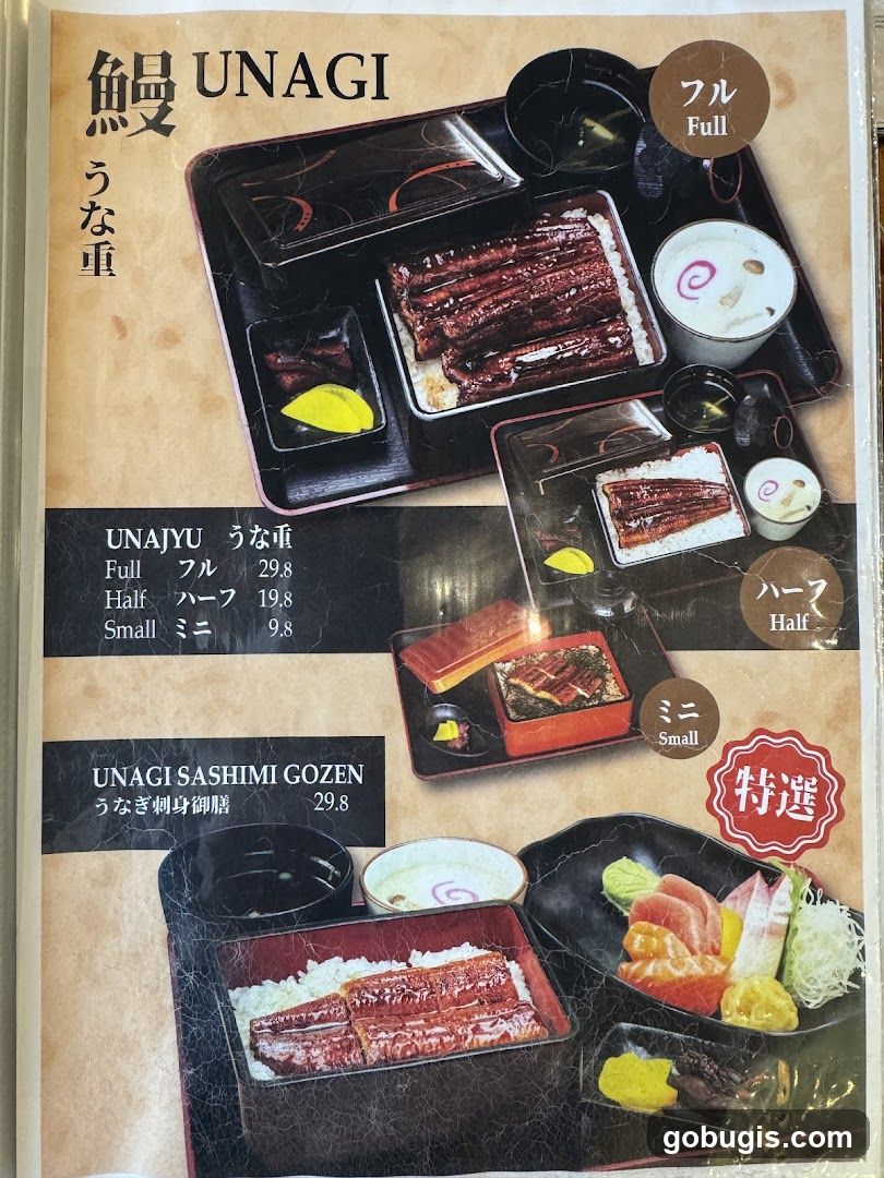 UNAGI