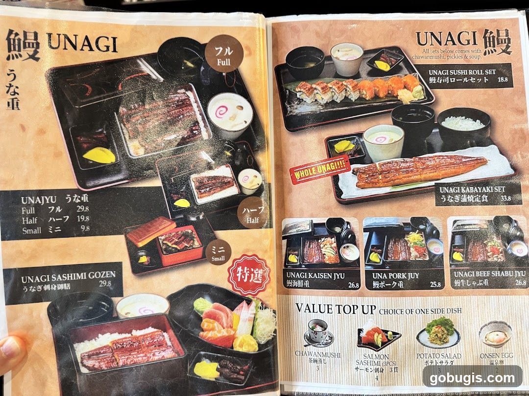 UNAGI