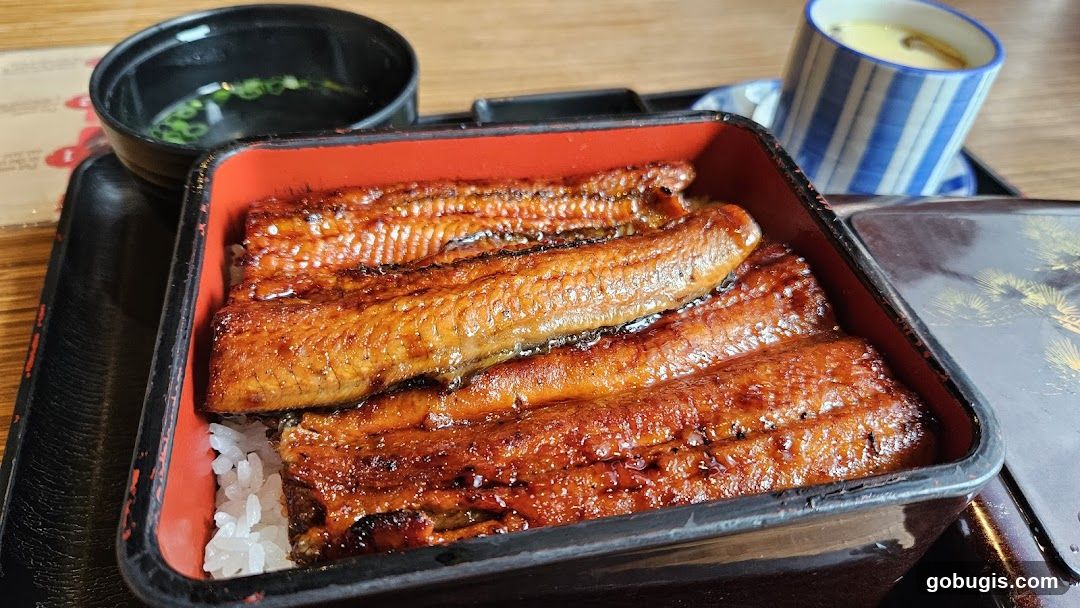 Unagi Donburi