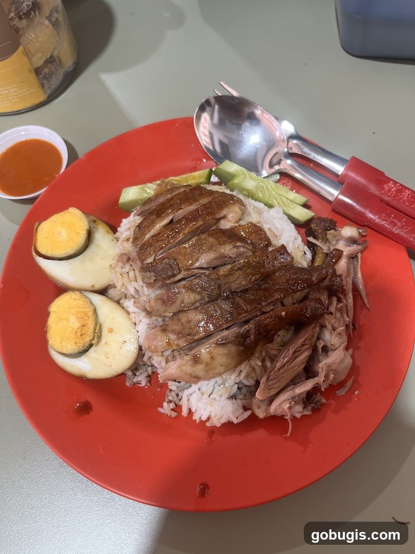 Duck Rice