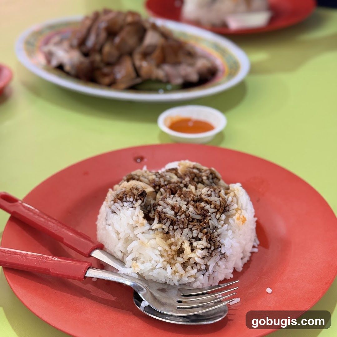 Rice with Gravy and Meat