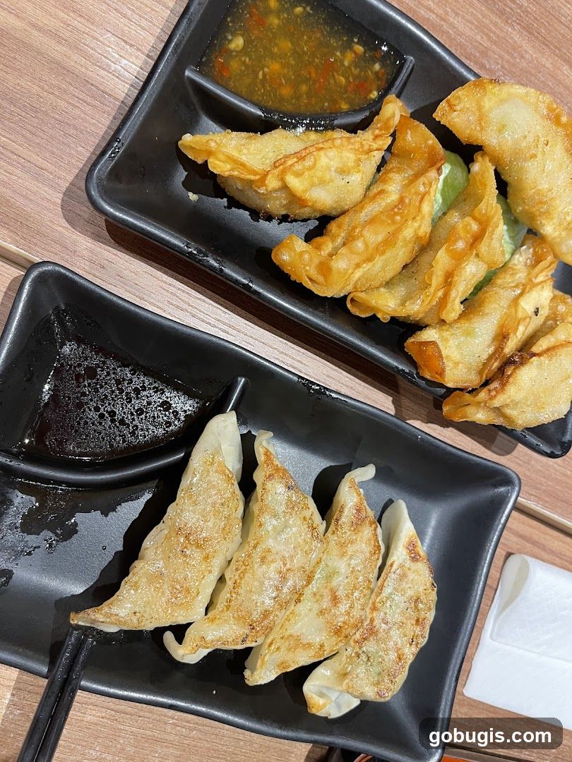 Fried Dumplings and Gyoza