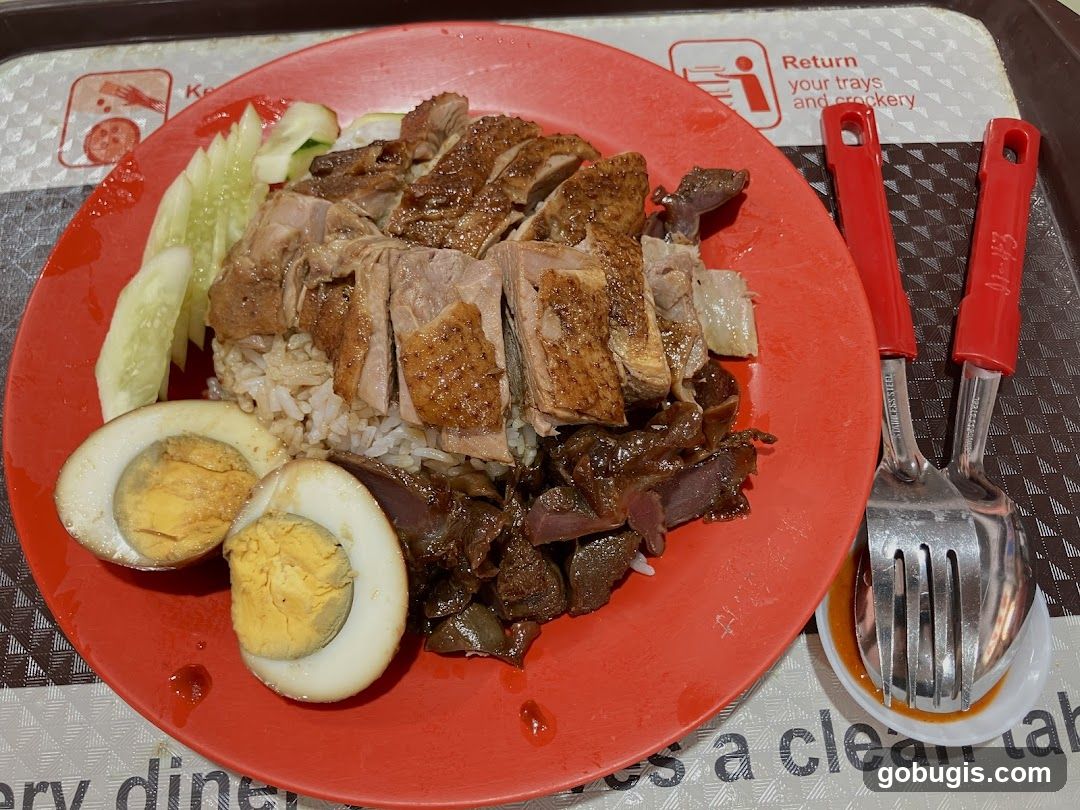 Duck Rice