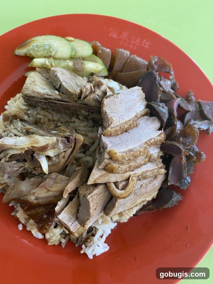 Duck Rice