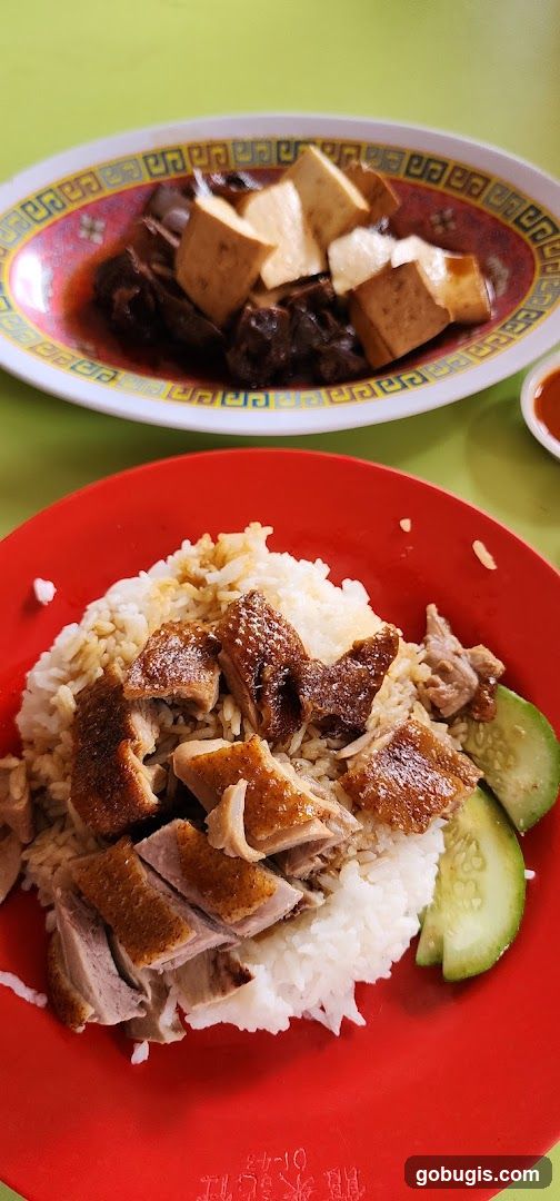 Duck Rice and Braised Tofu