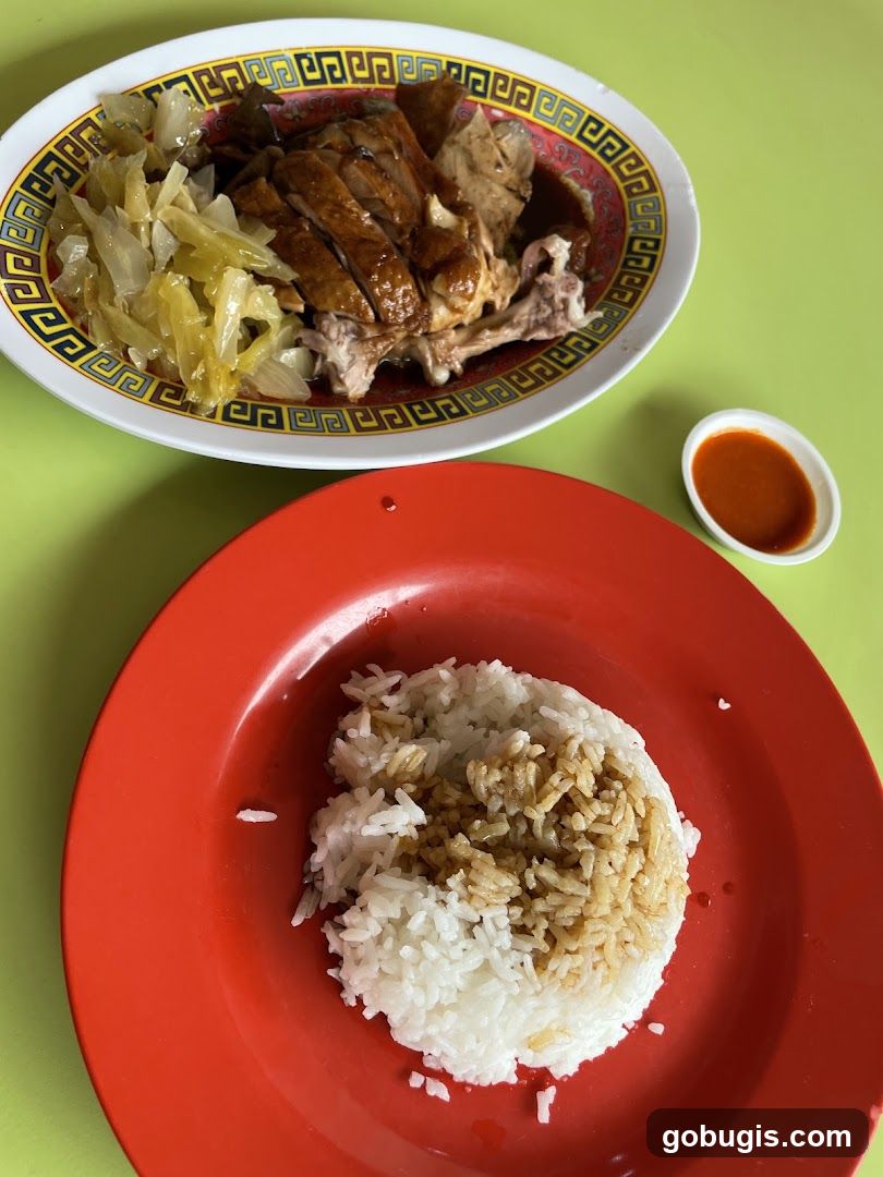 Roast Duck Rice
