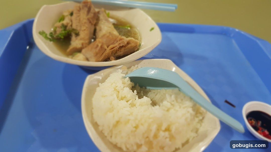 Pork Rib Soup with Rice