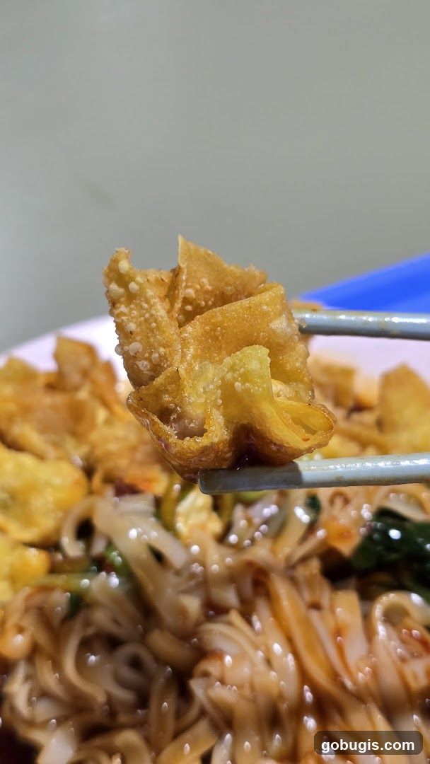 Fried Wonton with Noodles